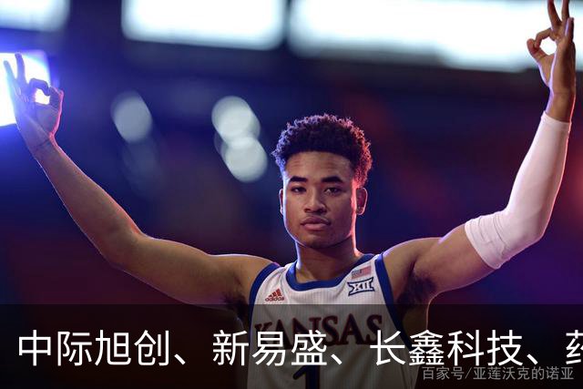 中际旭创、新易盛、长鑫科技、药明康德集体被增持,机构:当前A股不宜过度悲观
