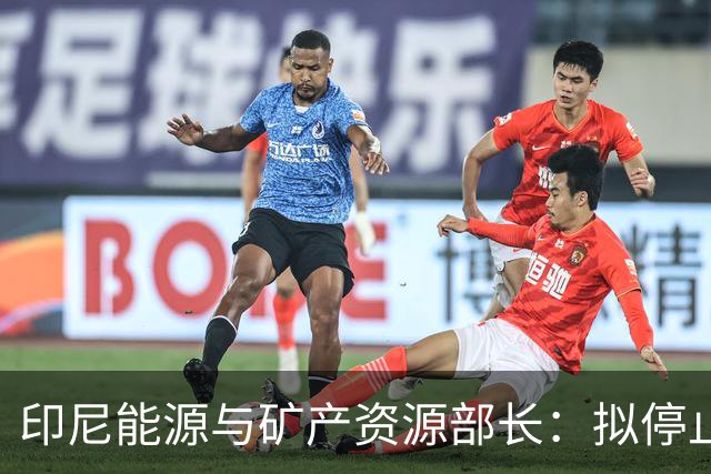 印尼能源与矿产资源部长：拟停止向不尊重印尼的国家供能