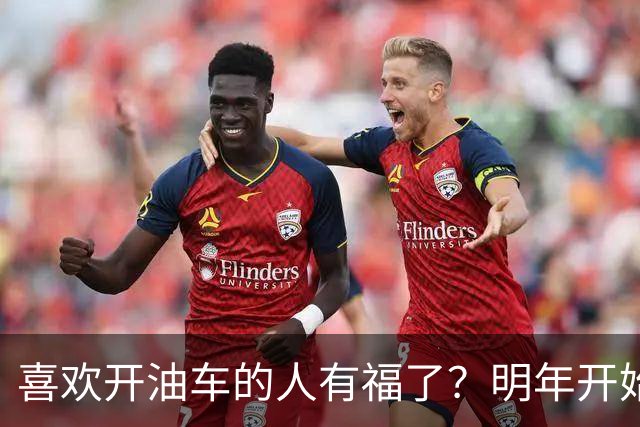 喜欢开油车的人有福了?明年开始,油车或将成为更多家庭的首选